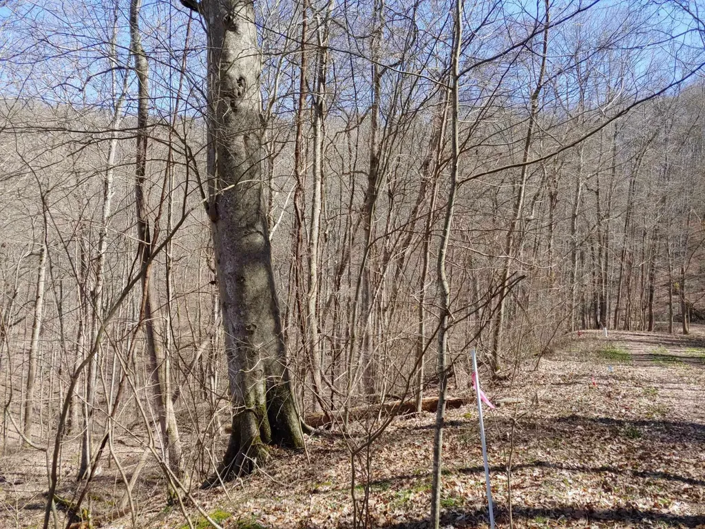 0 Birch Hollow Road Stanton KY 40380