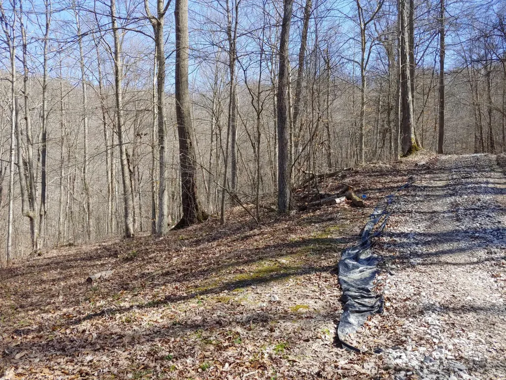 0 Birch Hollow Road Stanton KY 40380