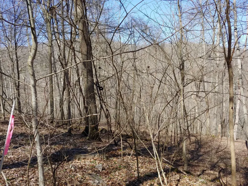 0 Birch Hollow Road Stanton KY 40380