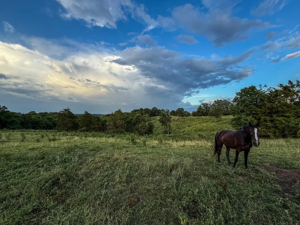 1 Key Highway 1054 South Berry KY 41003