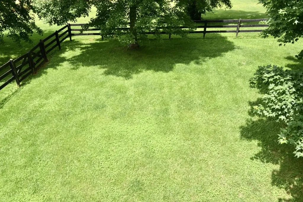 217 Pogue Drive Somerset KY 42503