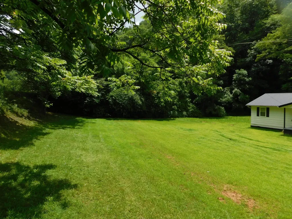 14 Day Hollow Road Bledsoe KY 40810