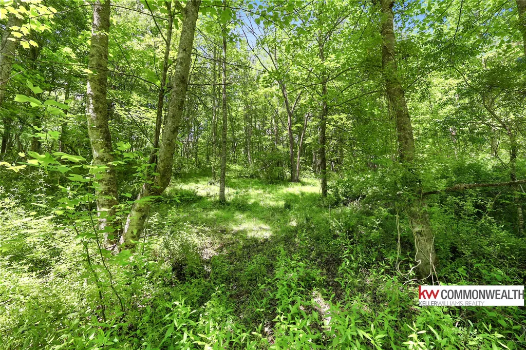9999 Long Branch Road London KY 40741
