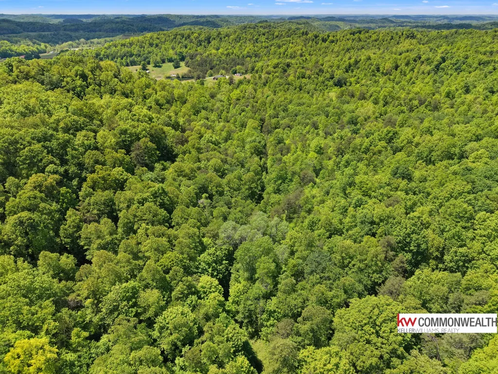 9999 Long Branch Road London KY 40741