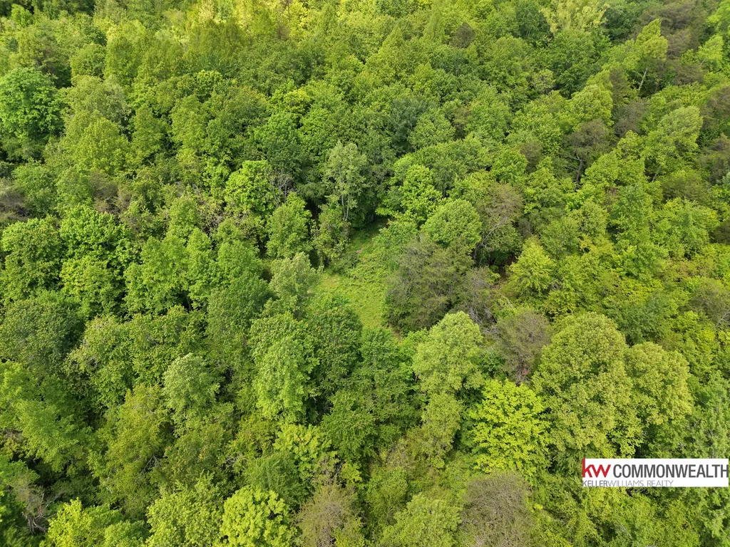 9999 Long Branch Road London KY 40741