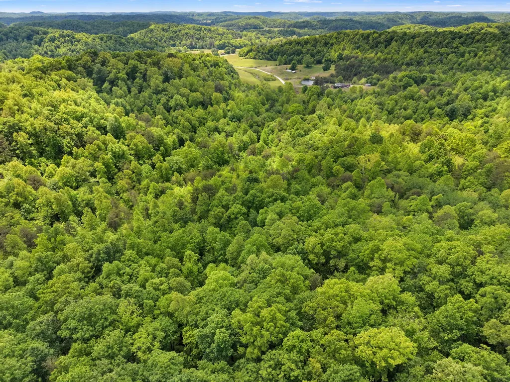 9999 Long Branch Road London KY 40741
