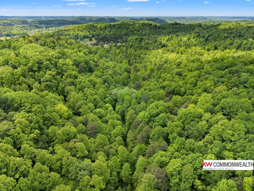 9999 Long Branch Road London KY 40741