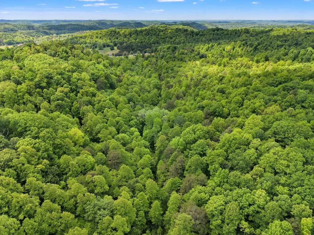 9999 Long Branch Road London KY 40741