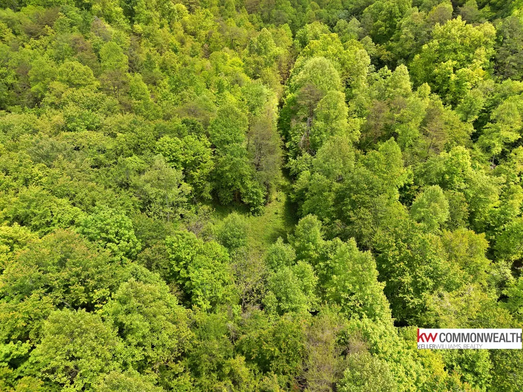 9999 Long Branch Road London KY 40741
