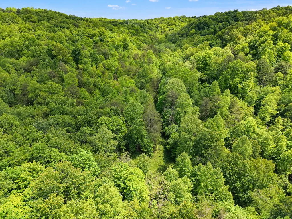 9999 Long Branch Road London KY 40741