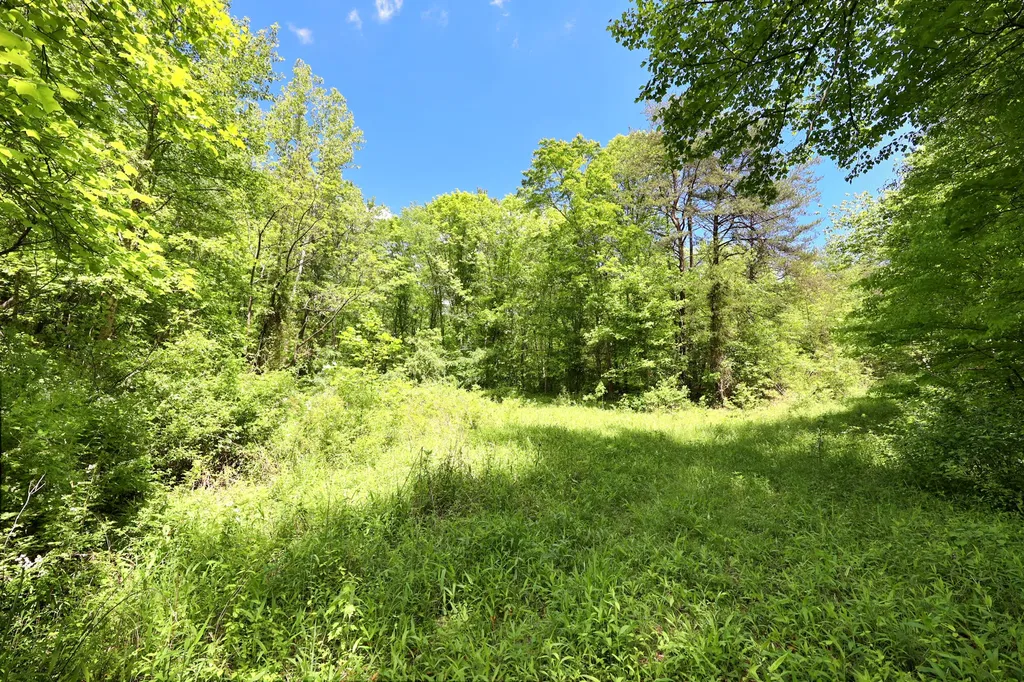 9999 Long Branch Road London KY 40741