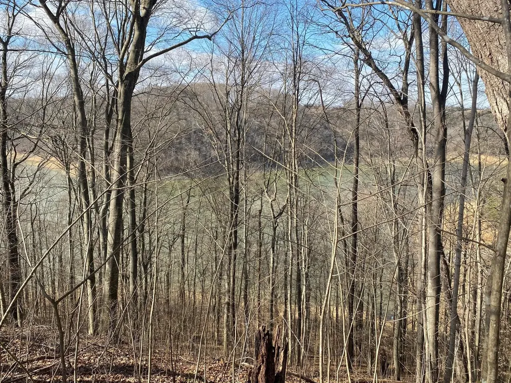 12 W Old Jamestown Road Russell Springs KY 42642