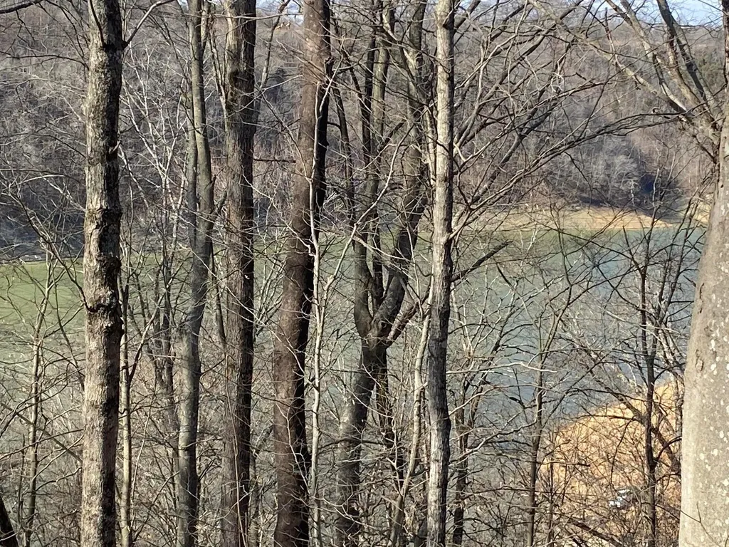 12 W Old Jamestown Road Russell Springs KY 42642