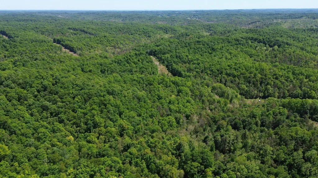 700 Clay Camp Road Hitchins KY 41146