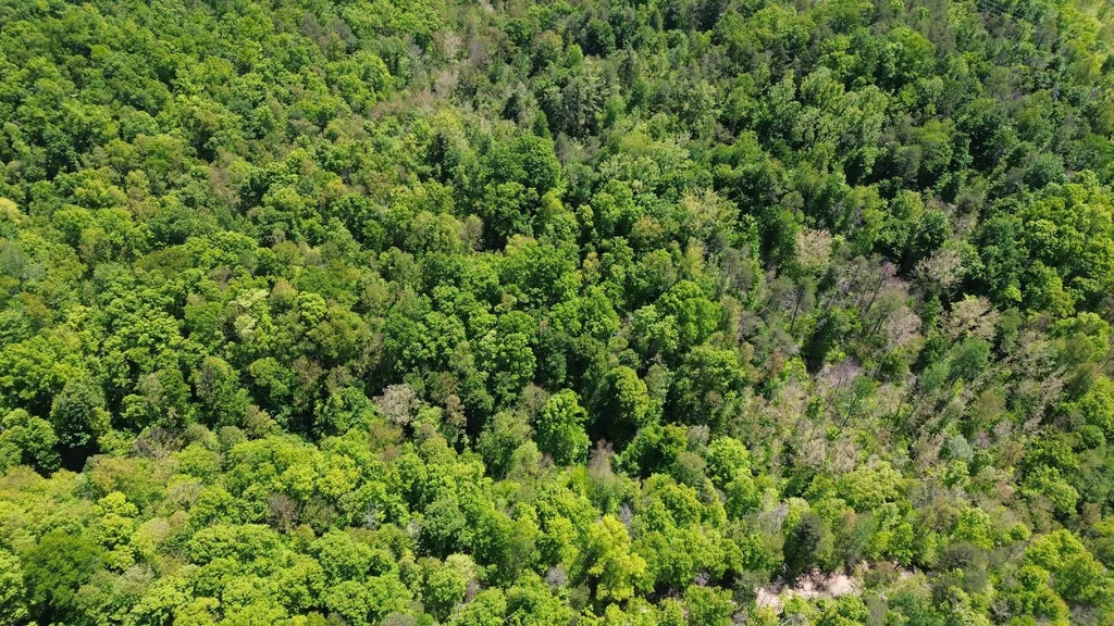 700 Clay Camp Road Hitchins KY 41146
