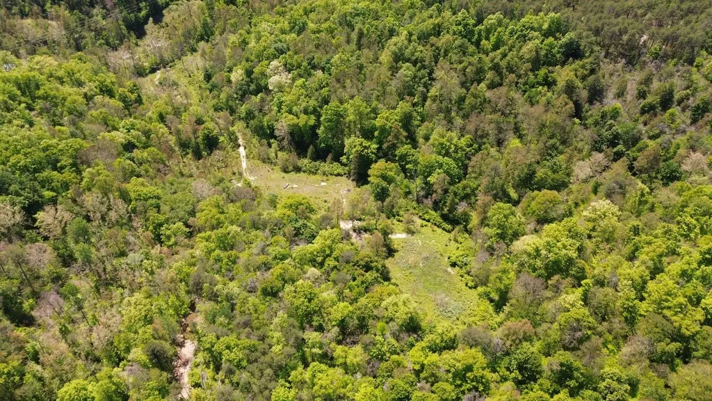 700 Clay Camp Road Hitchins KY 41146