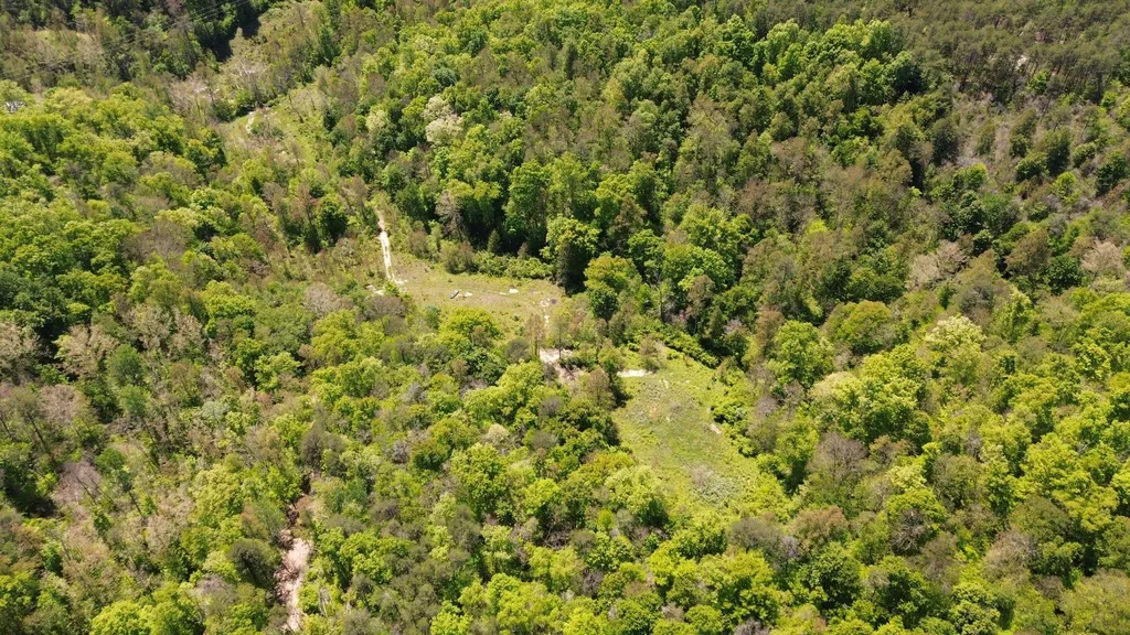 700 Clay Camp Road Hitchins KY 41146