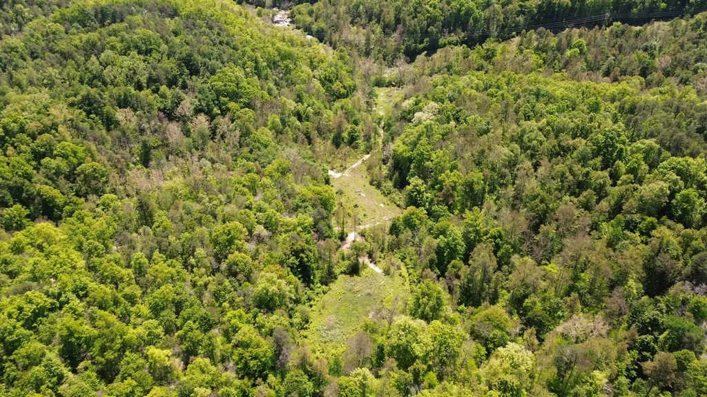 700 Clay Camp Road Hitchins KY 41146