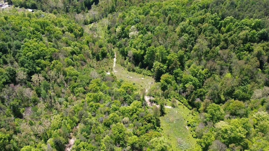 700 Clay Camp Road Hitchins KY 41146