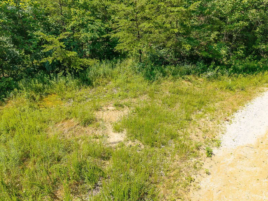 700 Clay Camp Road Hitchins KY 41146