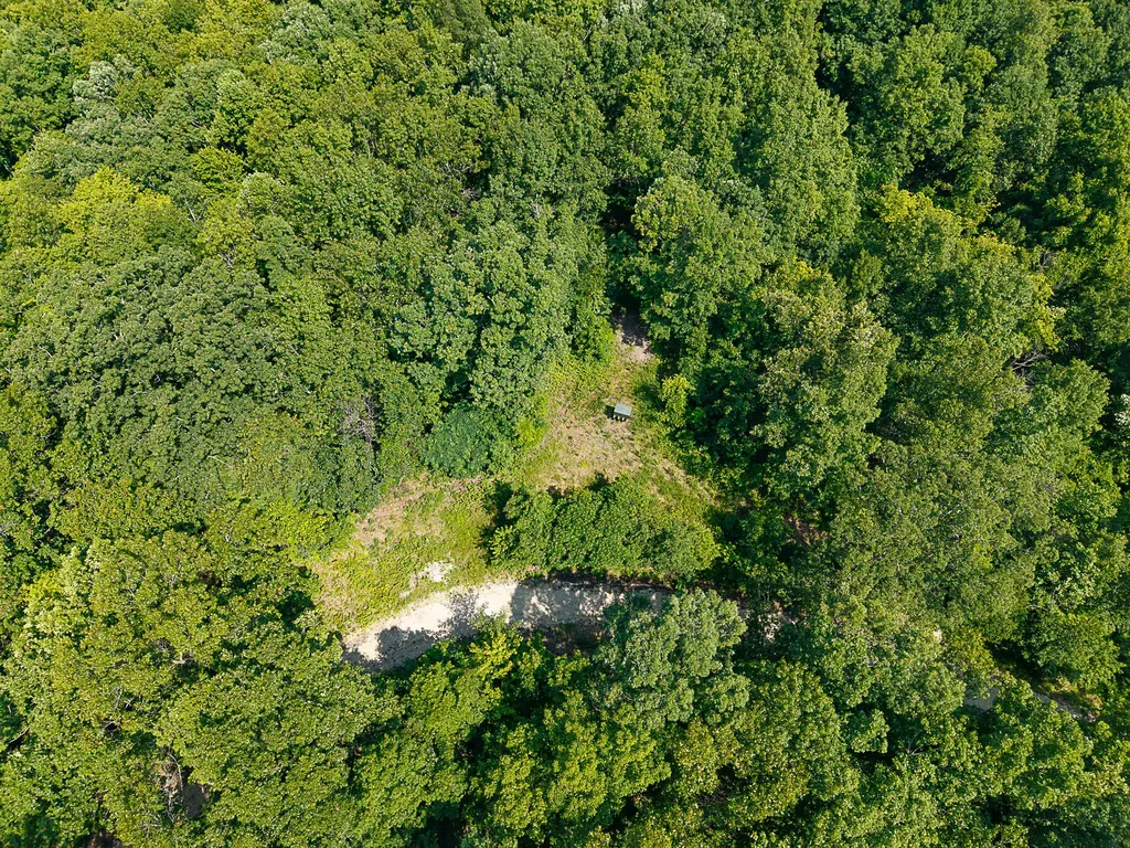 700 Clay Camp Road Hitchins KY 41146