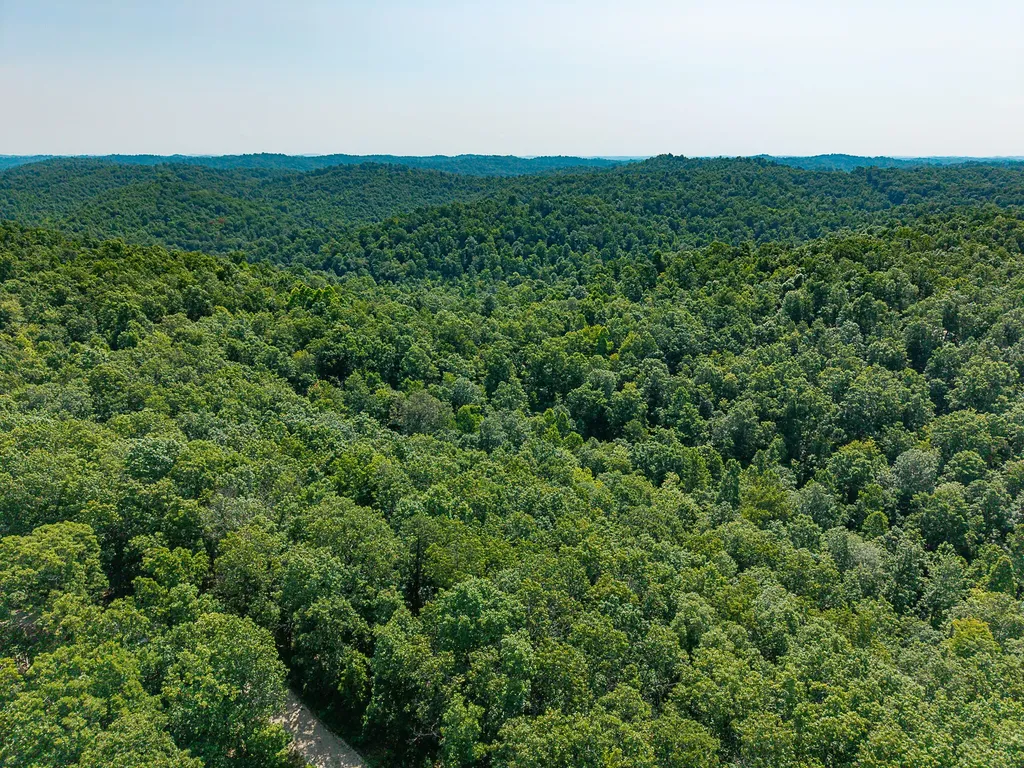 700 Clay Camp Road Hitchins KY 41146