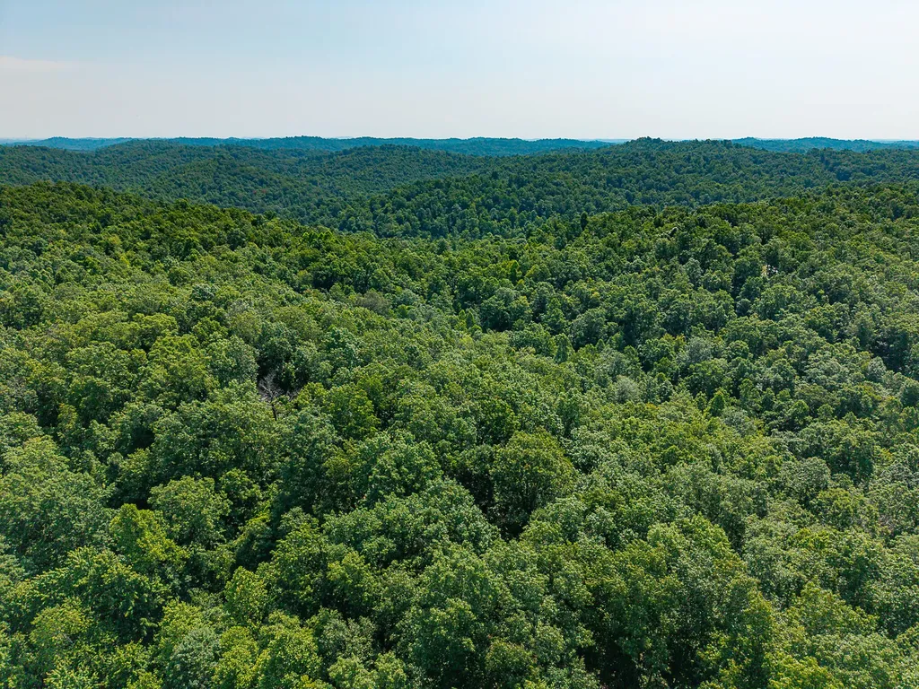 700 Clay Camp Road Hitchins KY 41146