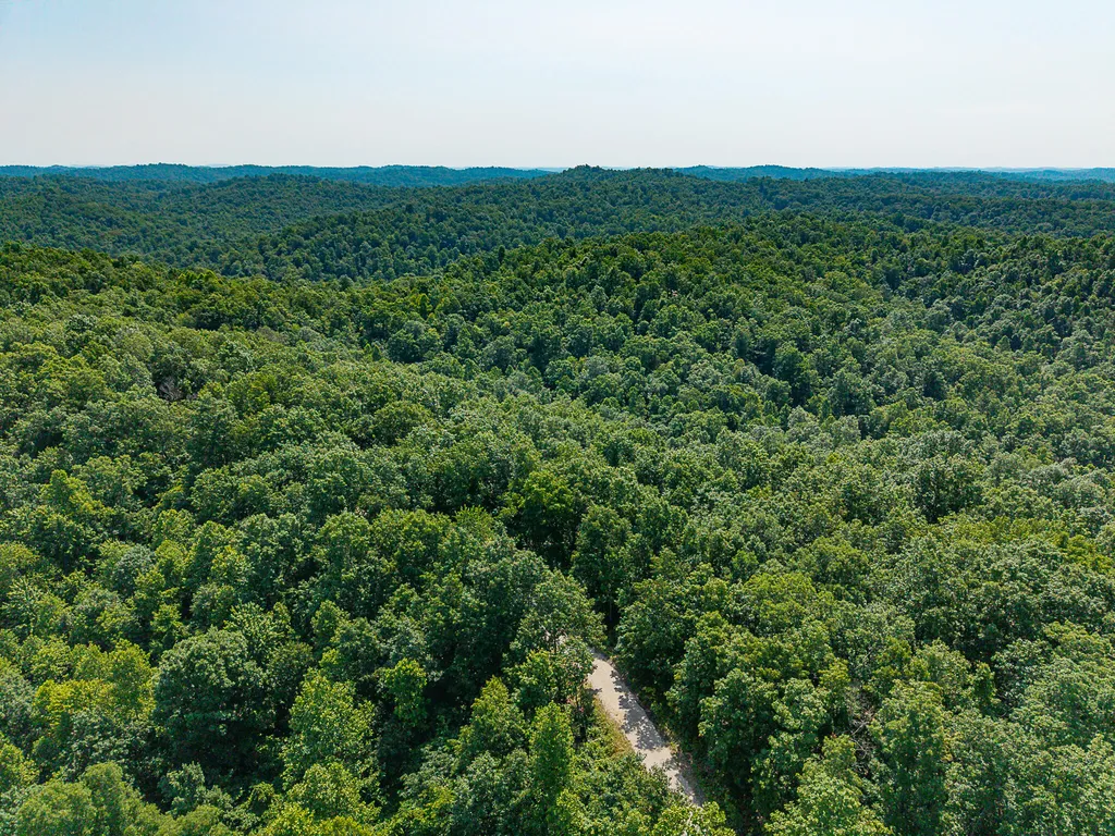700 Clay Camp Road Hitchins KY 41146