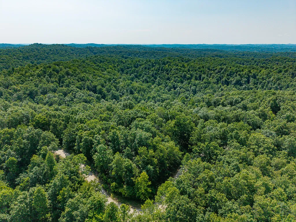 700 Clay Camp Road Hitchins KY 41146
