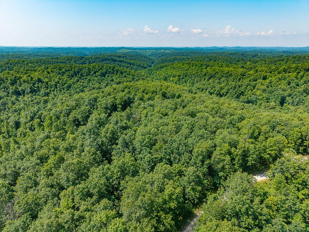 700 Clay Camp Road Hitchins KY 41146