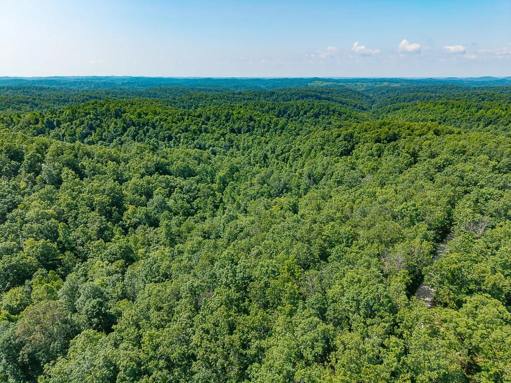 700 Clay Camp Road Hitchins KY 41146