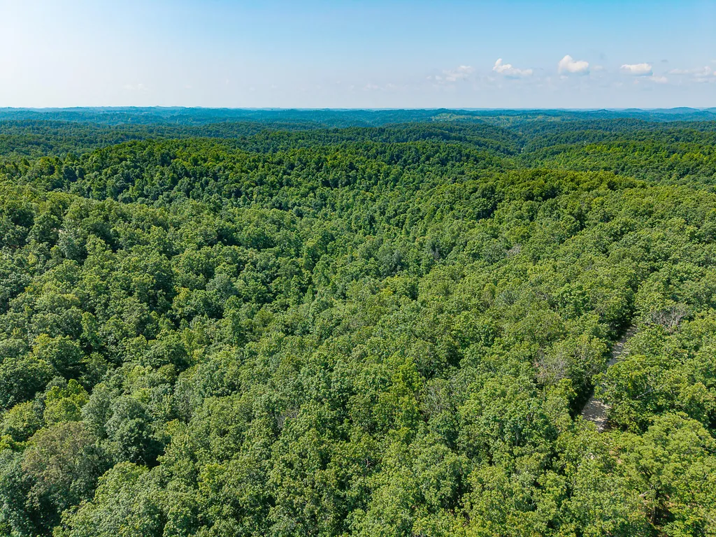 700 Clay Camp Road Hitchins KY 41146
