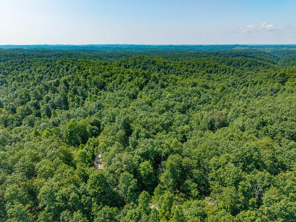 700 Clay Camp Road Hitchins KY 41146