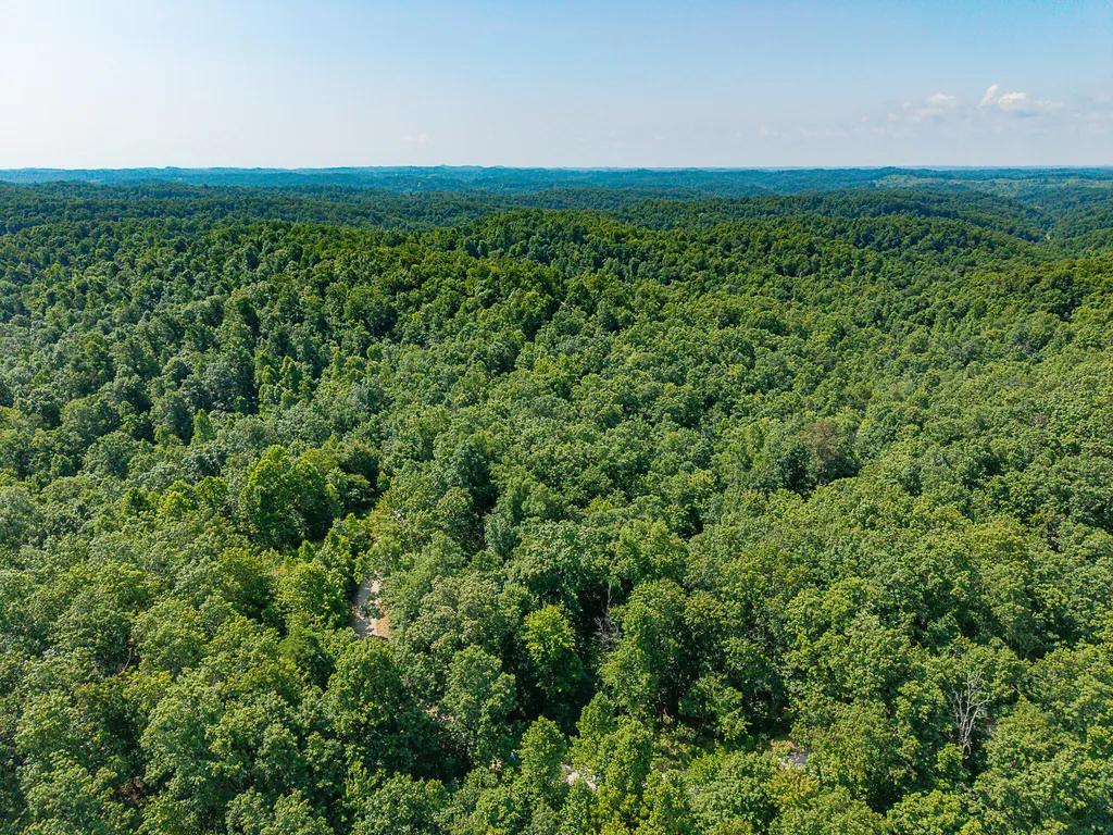 700 Clay Camp Road Hitchins KY 41146