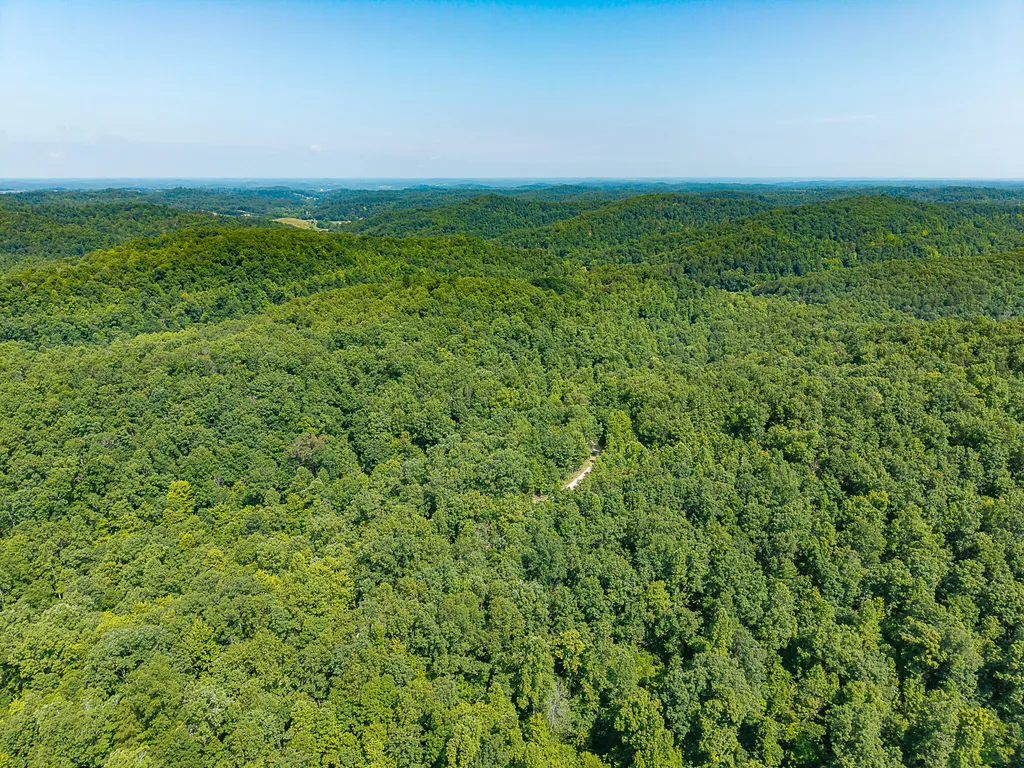 700 Clay Camp Road Hitchins KY 41146