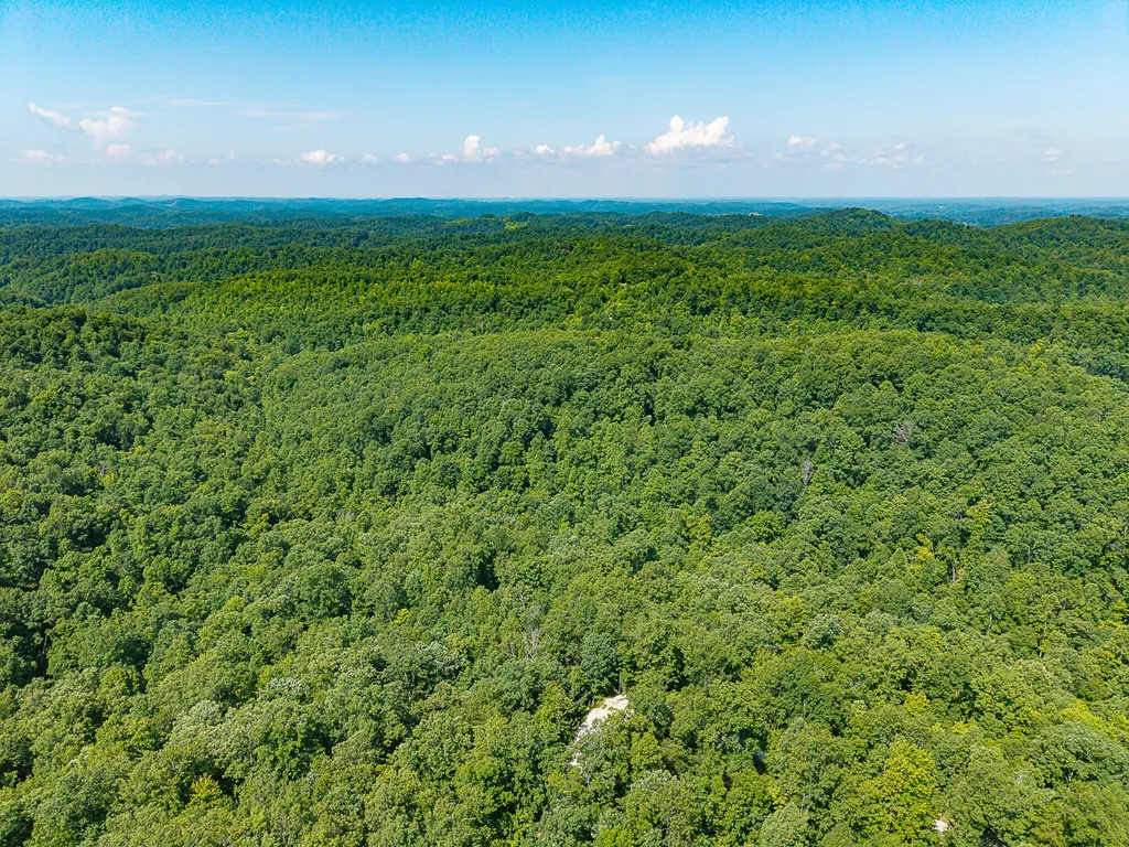 700 Clay Camp Road Hitchins KY 41146