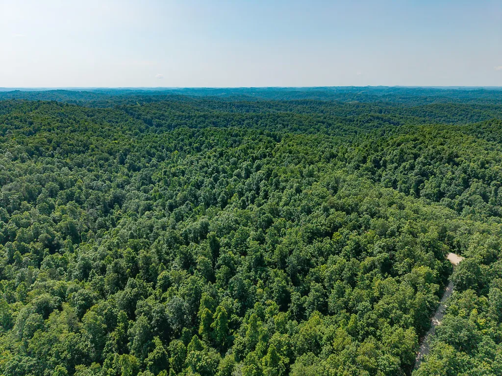 700 Clay Camp Road Hitchins KY 41146