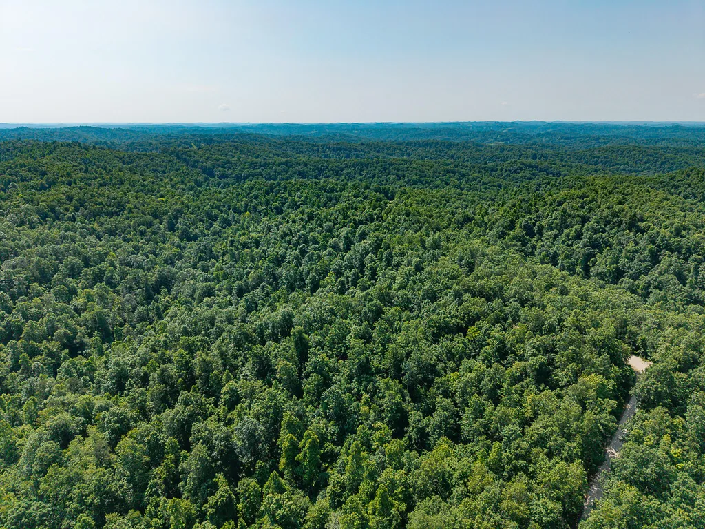 700 Clay Camp Road Hitchins KY 41146
