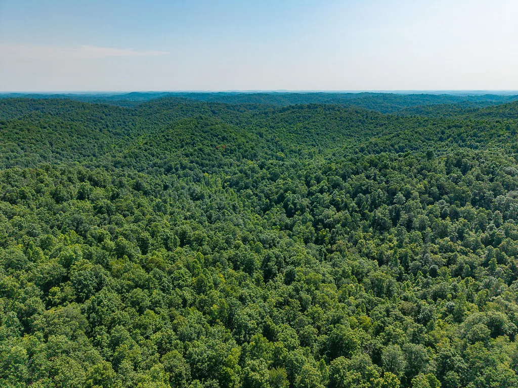 700 Clay Camp Road Hitchins KY 41146