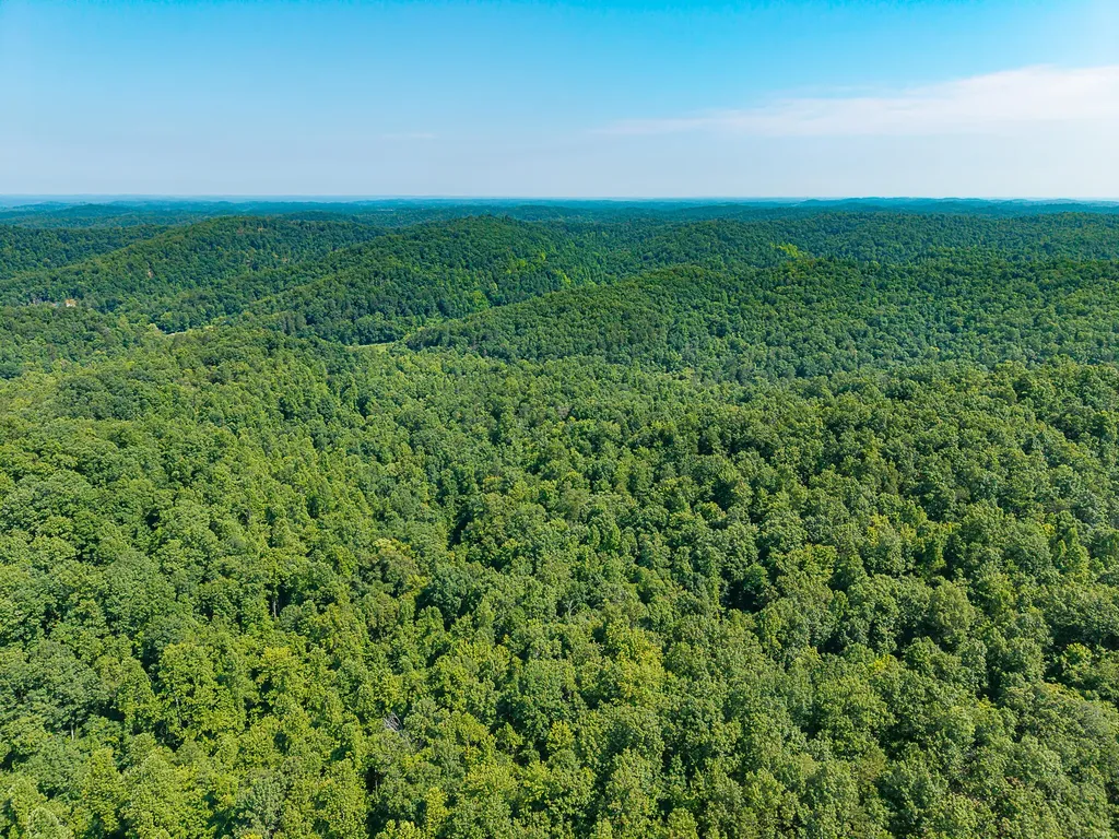 700 Clay Camp Road Hitchins KY 41146