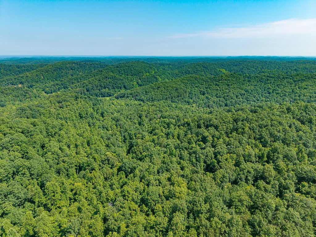 700 Clay Camp Road Hitchins KY 41146