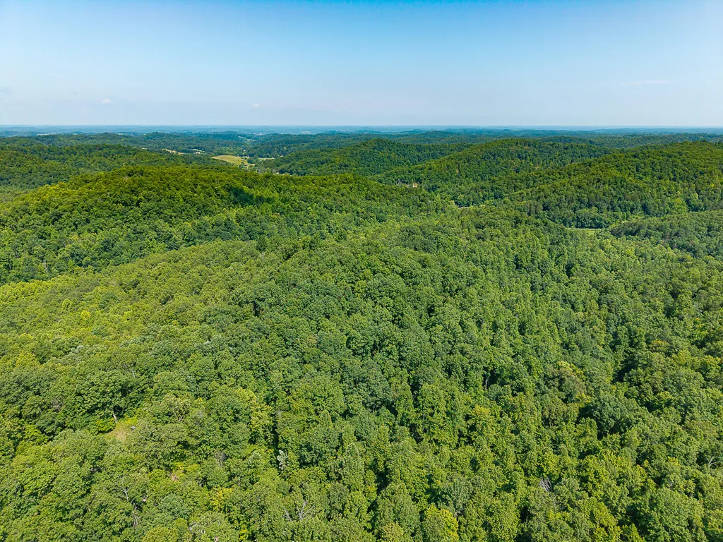 700 Clay Camp Road Hitchins KY 41146