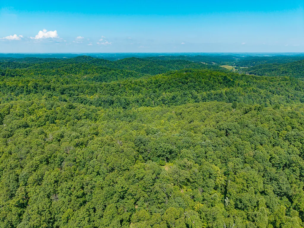 700 Clay Camp Road Hitchins KY 41146