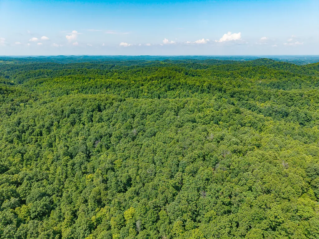 700 Clay Camp Road Hitchins KY 41146