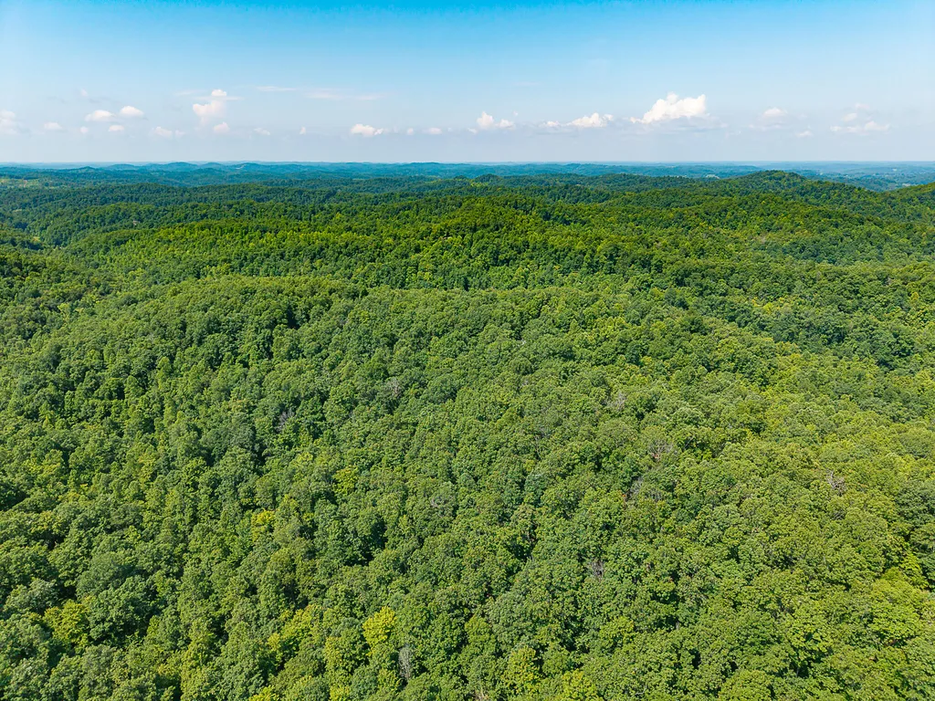 700 Clay Camp Road Hitchins KY 41146