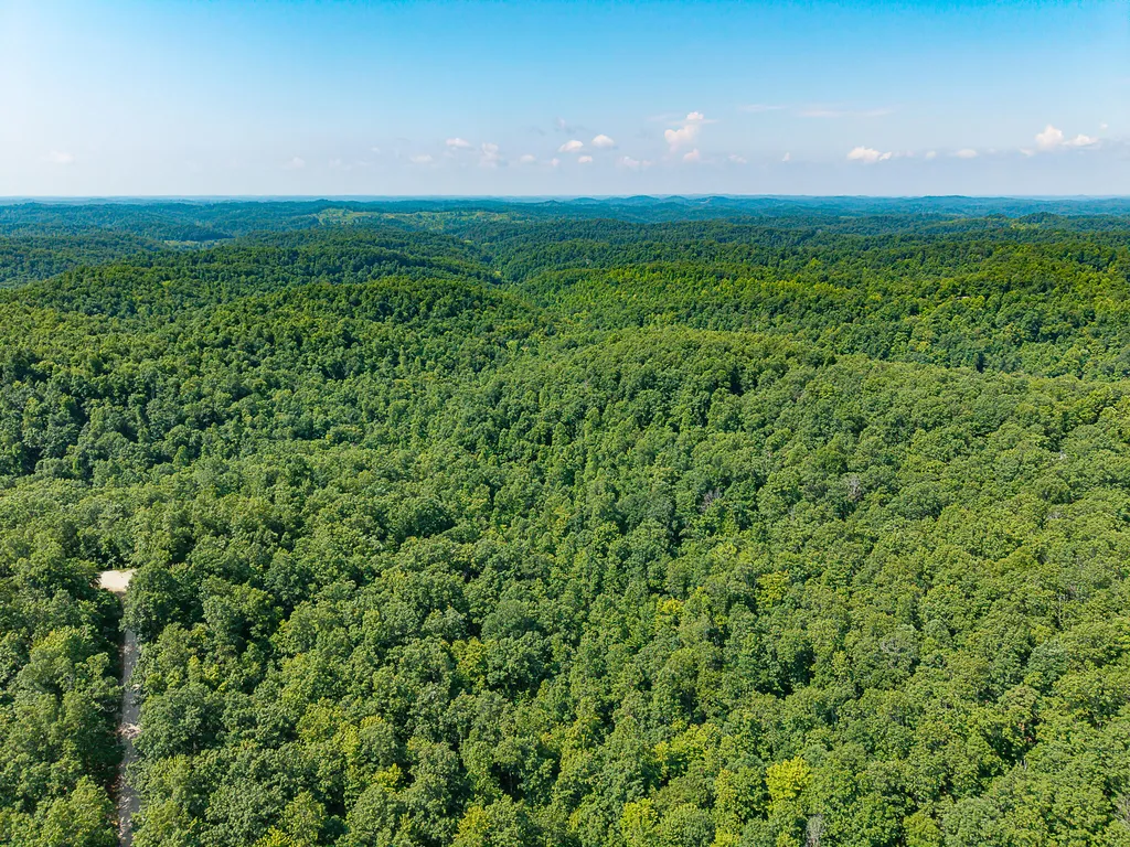 700 Clay Camp Road Hitchins KY 41146