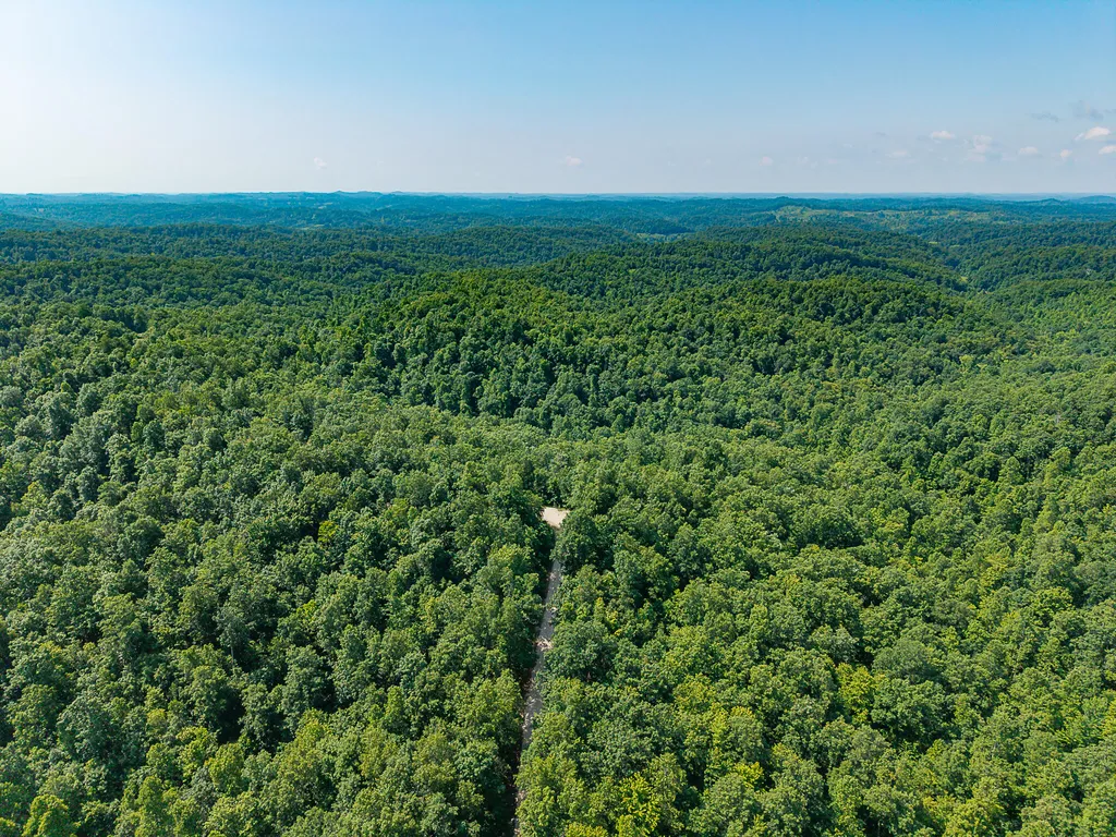 700 Clay Camp Road Hitchins KY 41146