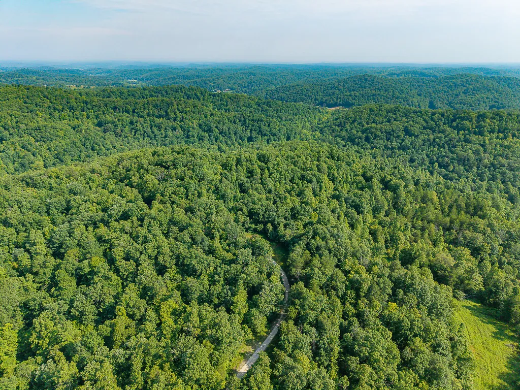 700 Clay Camp Road Hitchins KY 41146