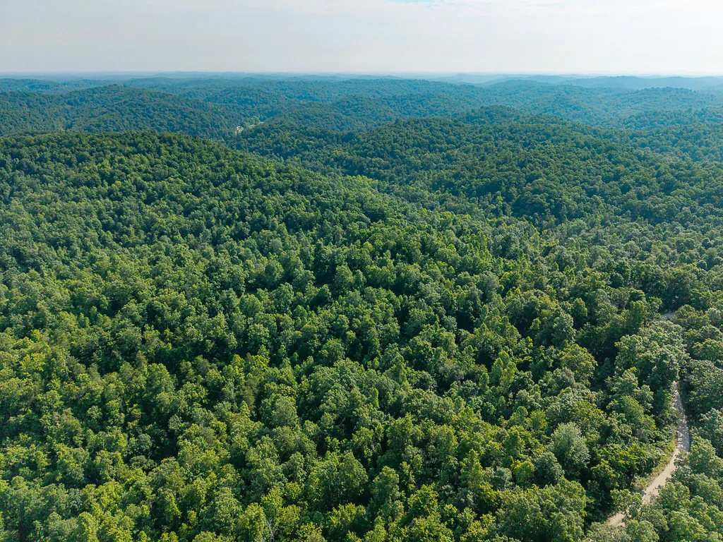 700 Clay Camp Road Hitchins KY 41146