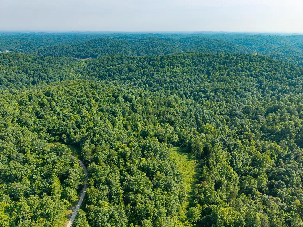 700 Clay Camp Road Hitchins KY 41146